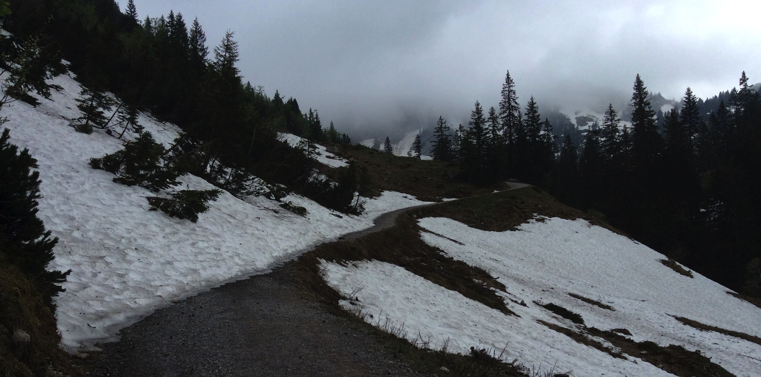 Snow covers the road ahead...
