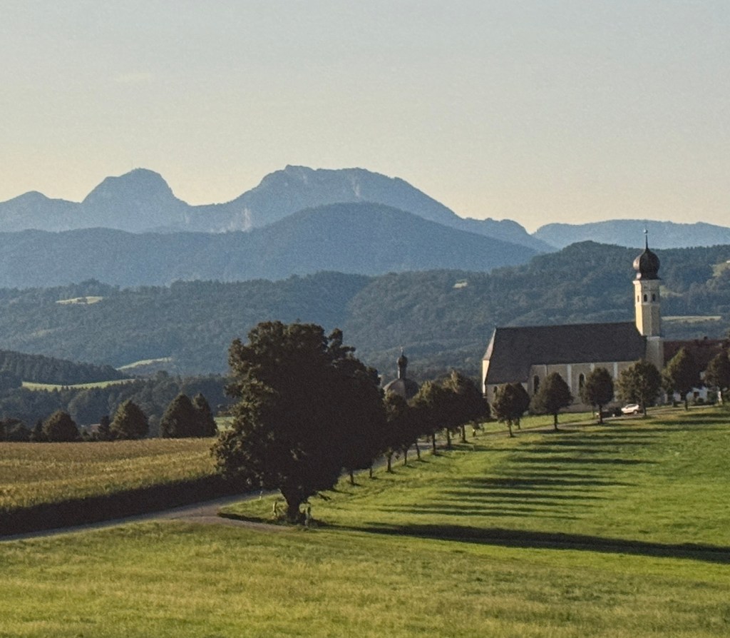 w3 / At peace with&nbsp;non-op